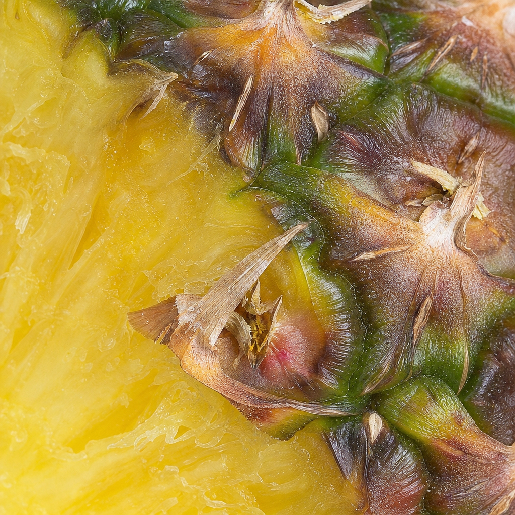 Ananas — poznávací znaky