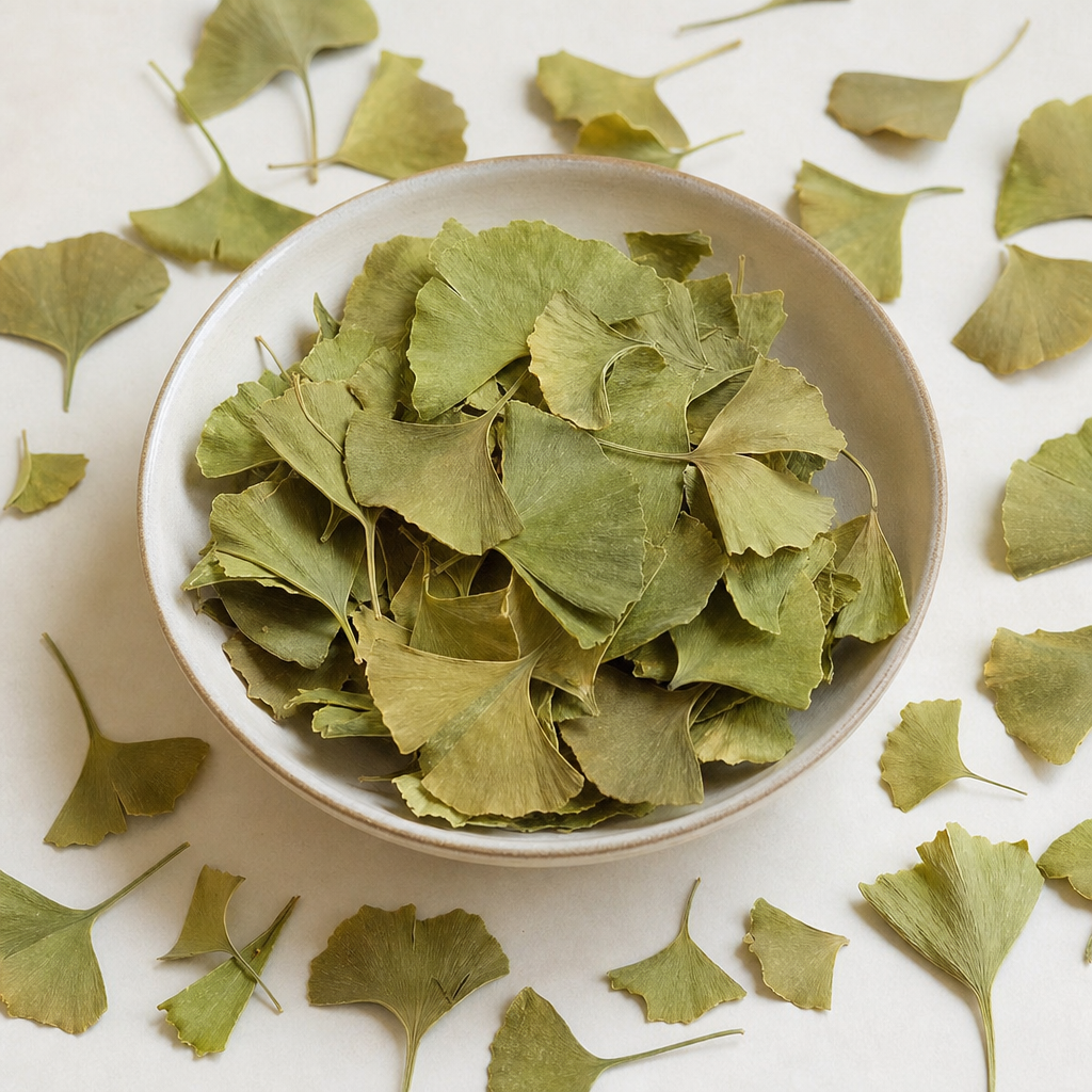 Ginkgo biloba — sušená bylina