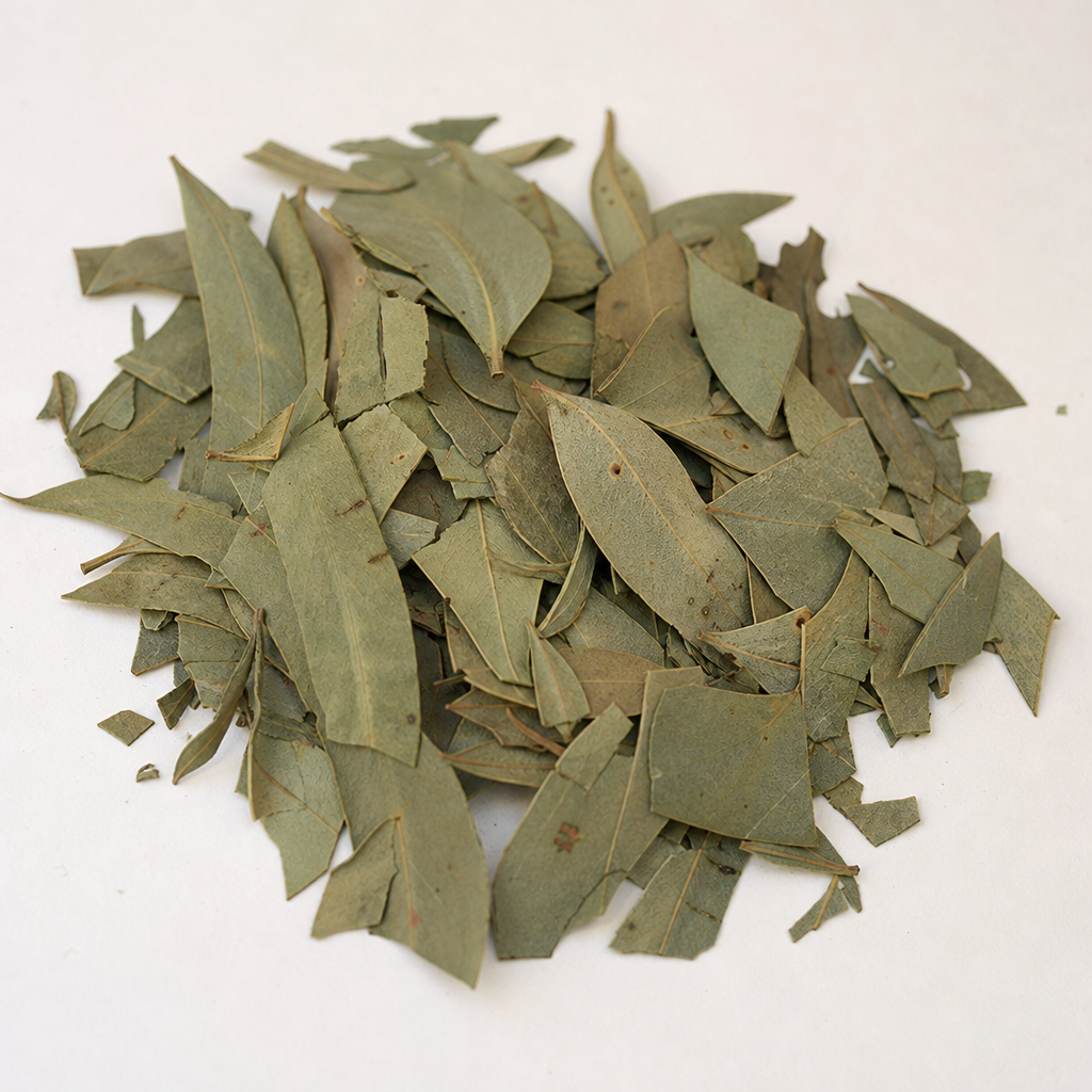 Eukalyptus — sušená bylina